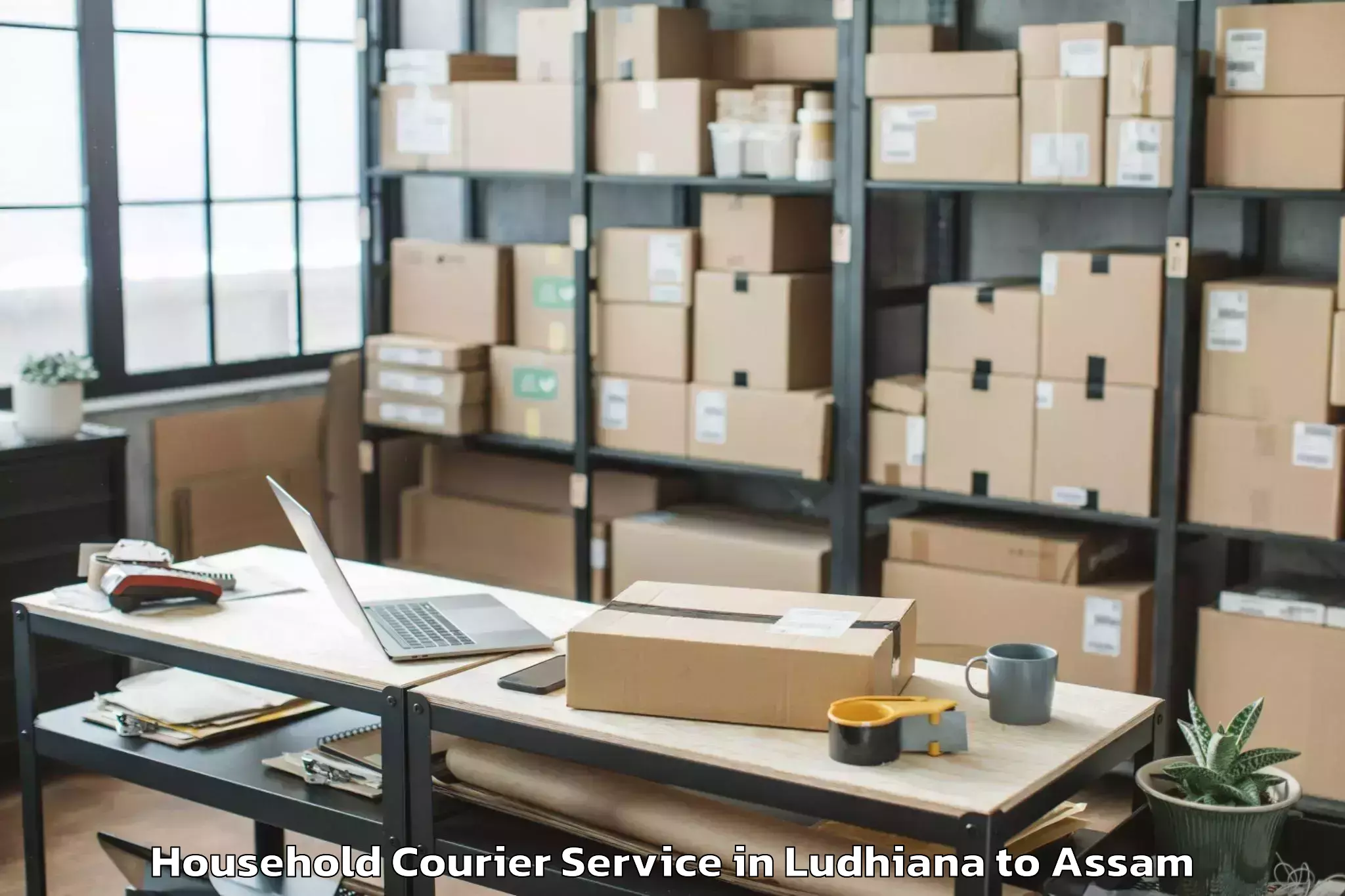 Book Ludhiana to Digboi Household Courier Online